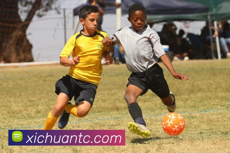 世界杯官网登录app平台生态图