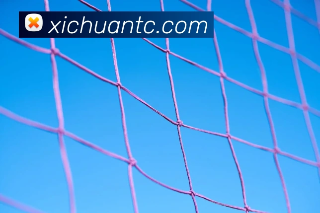 世界杯官网登录appAPP 封面图